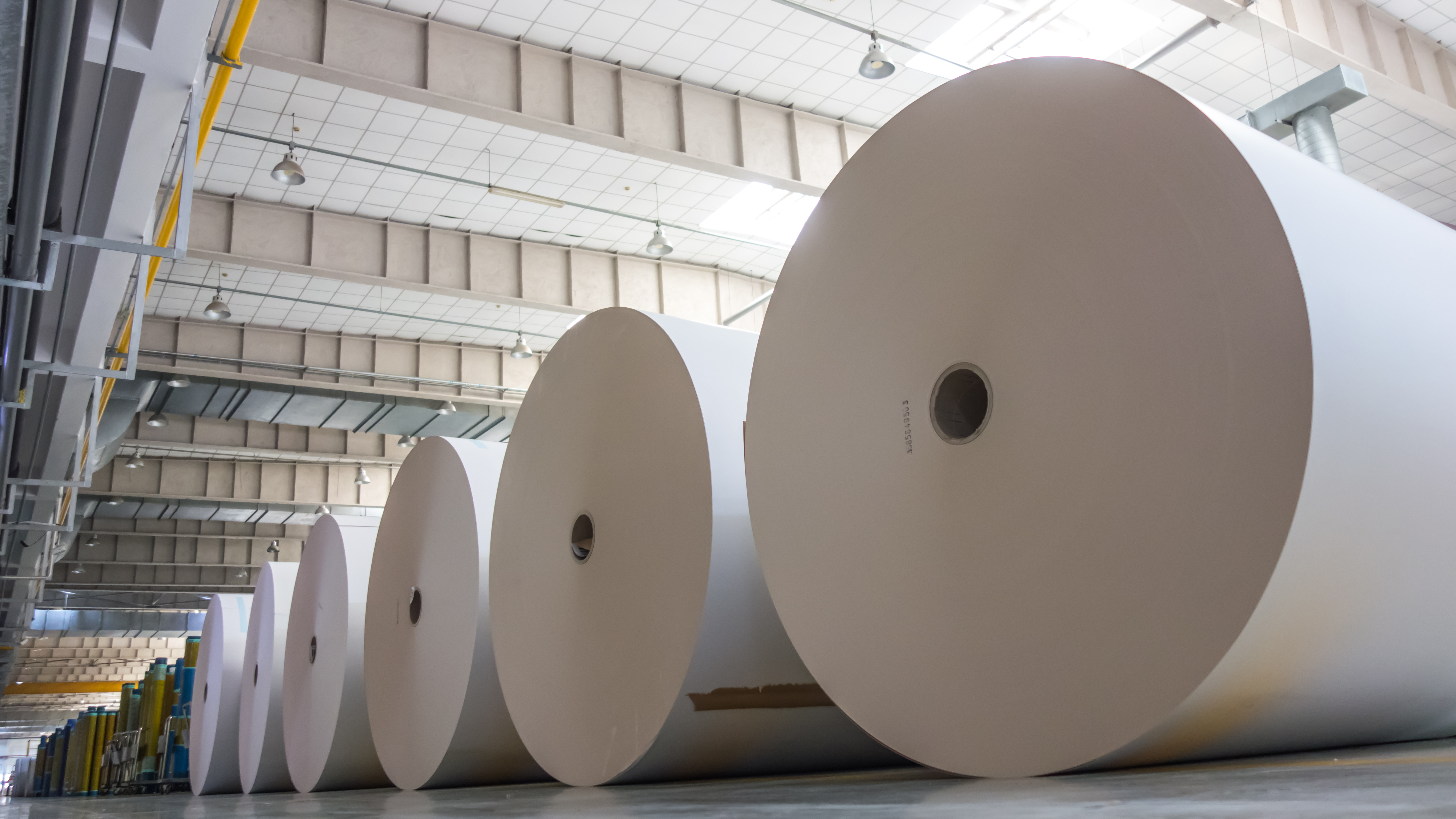 Paper rolls