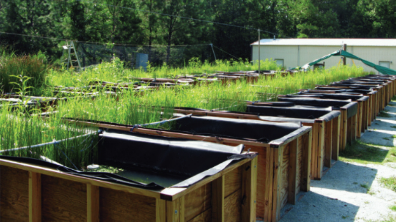 Center for the Environmental Implications of NanoTechnology