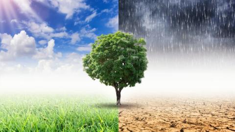 How to control humidity accurately in a rapidly changing environment