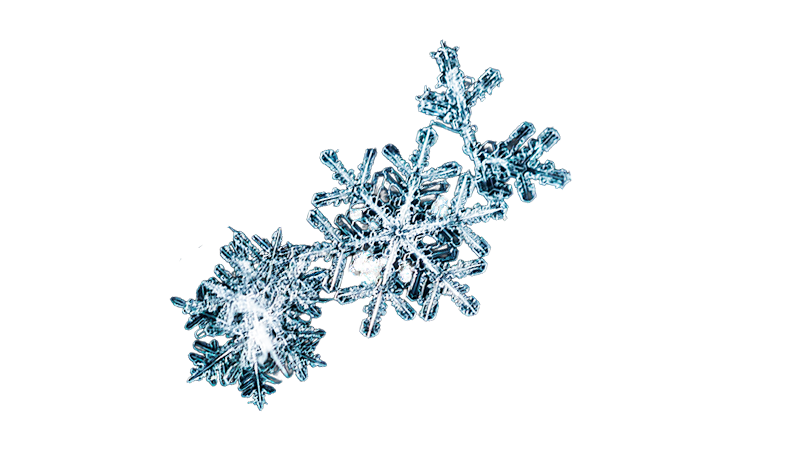 Frozen snowflakes