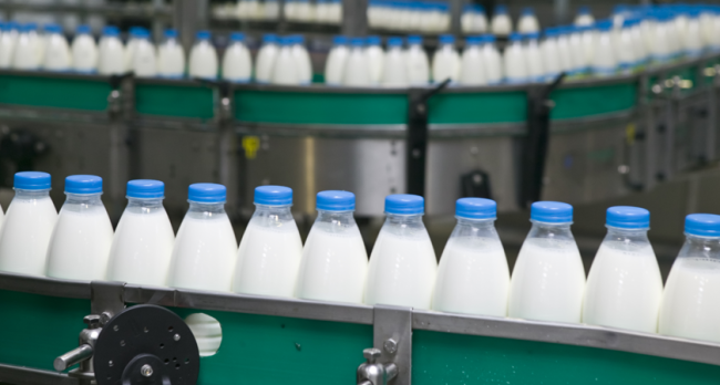 Milk bottles in processing line