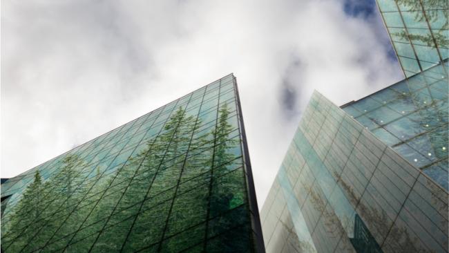 Vaisala Sustainability Report Image