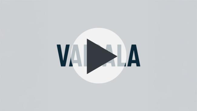 Video thumbnail with play button