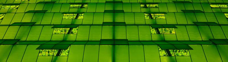 Green lighting illuminating a greenhouse at night brand