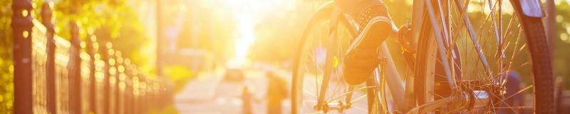 Biking in summer