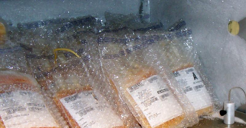 Blood plasma in freezer
