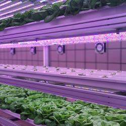 Vertical farming